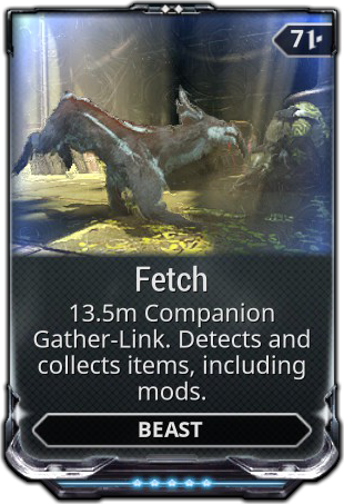 Fetch