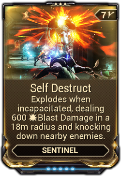 Self Destruct