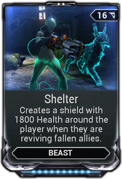 Shelter
