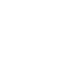 Electric Shield