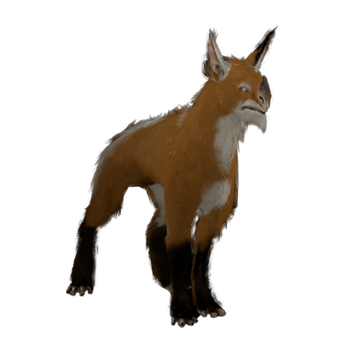 HURAS KUBROW