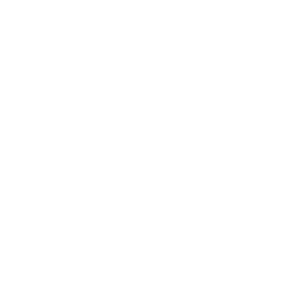 Landslide