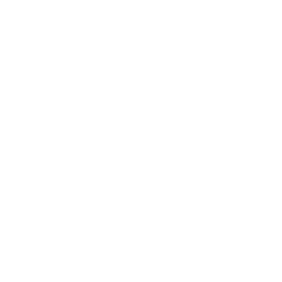 Petrify