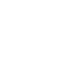 Scarab Shell