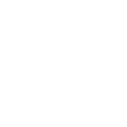 Tectonics