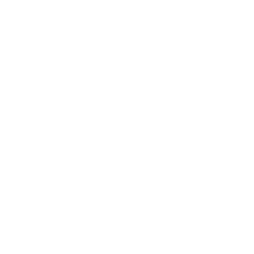 Temporal Anchor